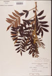 000002631-thumbnail.jpg