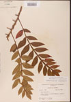 000002633-thumbnail.jpg