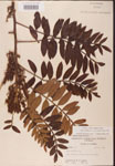 000002634-thumbnail.jpg