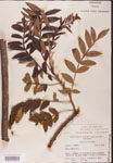 000002636-thumbnail.jpg