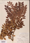 000002637-thumbnail.jpg
