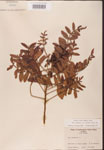 000002638-thumbnail.jpg