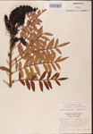 000002639-thumbnail.jpg