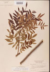 000002640-thumbnail.jpg