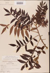 000002641-thumbnail.jpg