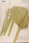 000002664-thumbnail.jpg