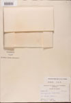 000002666-thumbnail.jpg