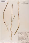 000002667-thumbnail.jpg