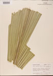 000002669-thumbnail.jpg