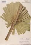 000002670-thumbnail.jpg