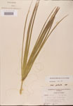 000002672-thumbnail.jpg