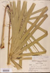 000002674-thumbnail.jpg