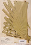 000002675-thumbnail.jpg