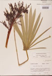 000002676-thumbnail.jpg