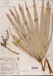 000002678-thumbnail.jpg