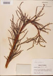 000002679-thumbnail.jpg
