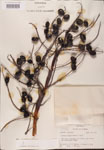 000002680-thumbnail.jpg