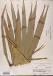 000002682-thumbnail.jpg