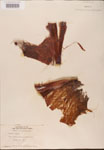 000002684-thumbnail.jpg