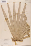 000002685-thumbnail.jpg
