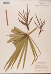 000002687-thumbnail.jpg