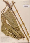000002690-thumbnail.jpg