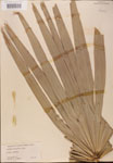 000002691-thumbnail.jpg