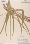 000002693-thumbnail.jpg