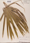 000002697-thumbnail.jpg