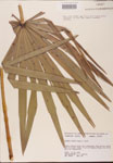 000002699-thumbnail.jpg