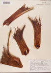 000002700-thumbnail.jpg