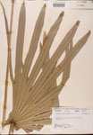 000002707-thumbnail.jpg