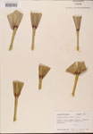 000002711-thumbnail.jpg