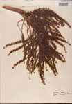000002712-thumbnail.jpg