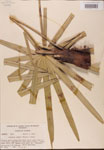 000002713-thumbnail.jpg