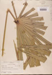 000002714-thumbnail.jpg
