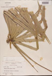000002717-thumbnail.jpg