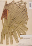000002718-thumbnail.jpg