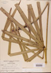 000002719-thumbnail.jpg
