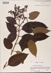 000002720-thumbnail.jpg