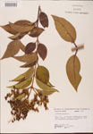 000002723-thumbnail.jpg