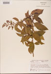 000002726-thumbnail.jpg