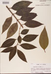 000002731-thumbnail.jpg