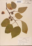 000002732-thumbnail.jpg
