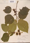 000002734-thumbnail.jpg