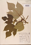 000002741-thumbnail.jpg