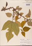 000002750-thumbnail.jpg
