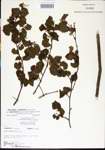 000002801-thumbnail.jpg