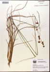 000002853-thumbnail.jpg