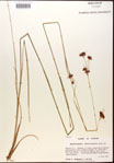 000002854-thumbnail.jpg
